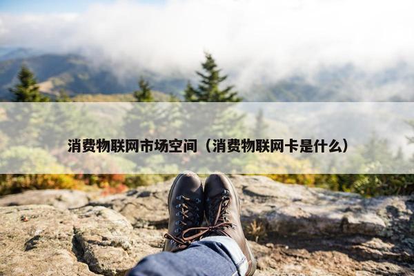 消费物联网市场空间（消费物联网卡是什么）