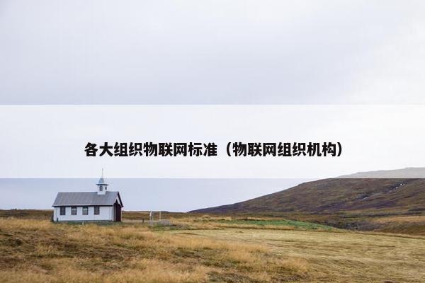 各大组织物联网标准（物联网组织机构）