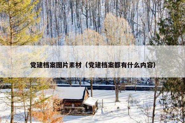 党建档案图片素材（党建档案都有什么内容）
