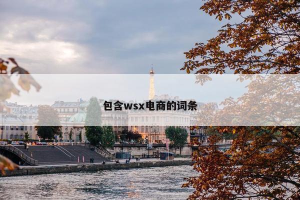 包含wsx电商的词条