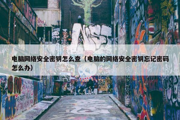 电脑网络安全密钥怎么查（电脑的网络安全密钥忘记密码怎么办）