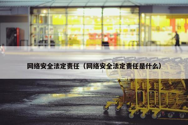 网络安全法定责任（网络安全法定责任是什么）