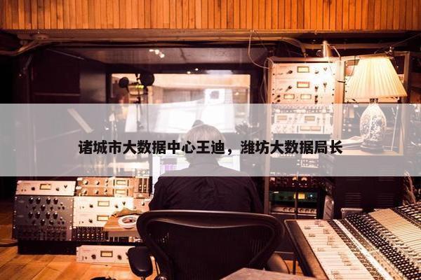 诸城市大数据中心王迪，潍坊大数据局长