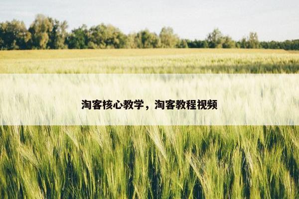 淘客核心教学，淘客教程视频