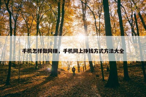 手机怎样做网赚，手机网上挣钱方式方法大全