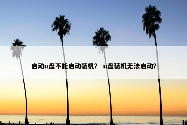 启动u盘不能启动装机？ u盘装机无法启动？