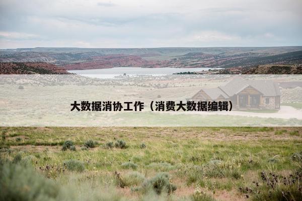 大数据消协工作（消费大数据编辑）
