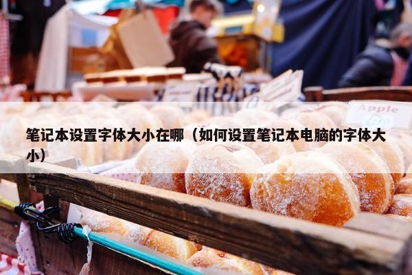 笔记本设置字体大小在哪（如何设置笔记本电脑的字体大小）