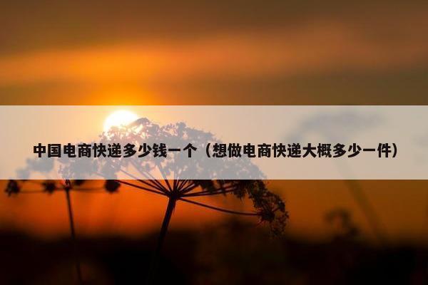 中国电商快递多少钱一个（想做电商快递大概多少一件）