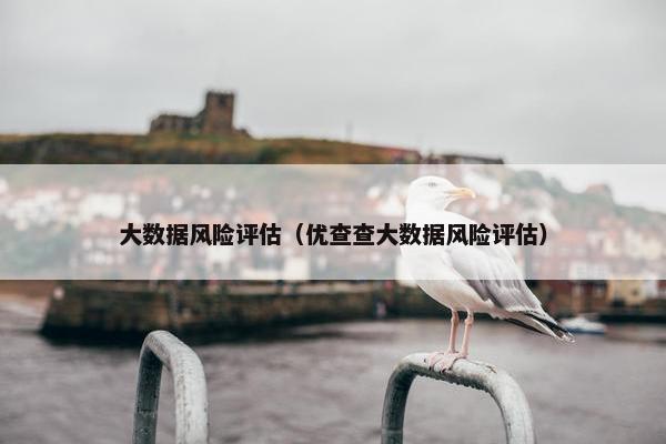 大数据风险评估（优查查大数据风险评估）