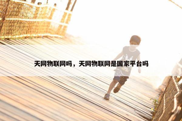 天网物联网吗，天网物联网是国家平台吗