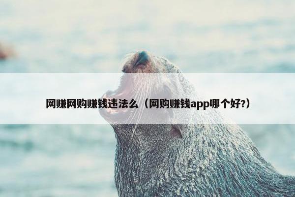 网赚网购赚钱违法么（网购赚钱app哪个好?）