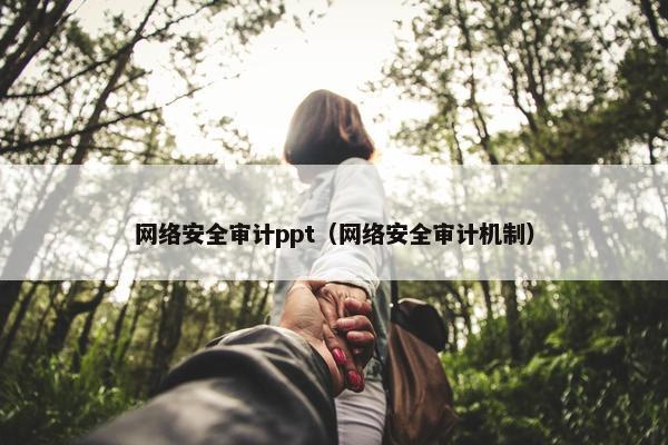 网络安全审计ppt（网络安全审计机制）