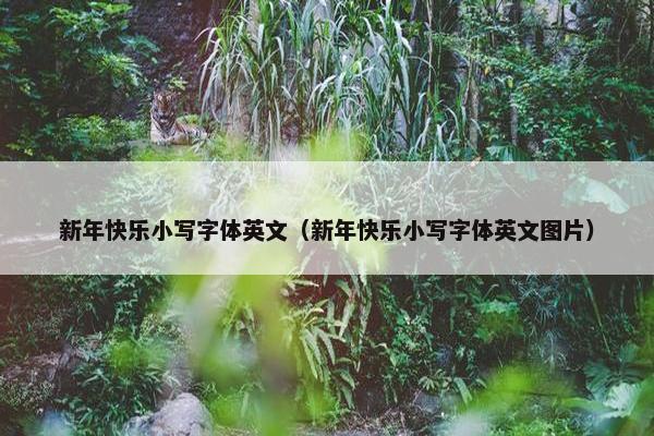 新年快乐小写字体英文（新年快乐小写字体英文图片）