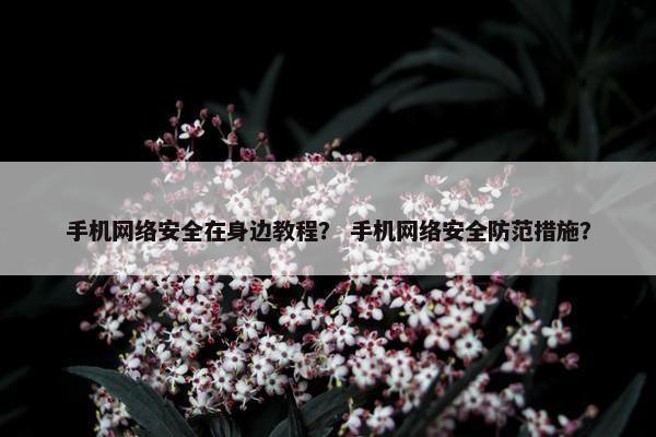手机网络安全在身边教程？ 手机网络安全防范措施？