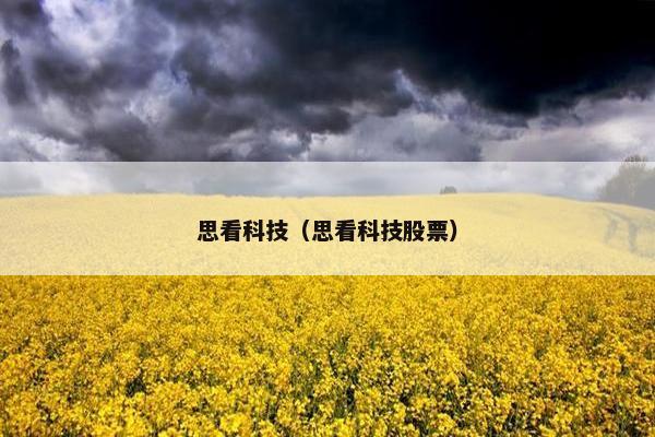 思看科技（思看科技股票）