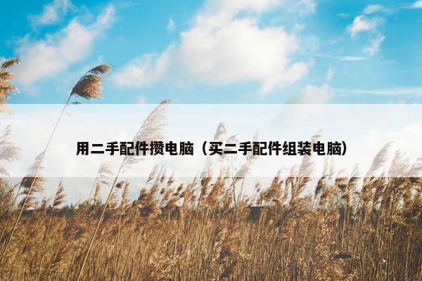 用二手配件攒电脑（买二手配件组装电脑）