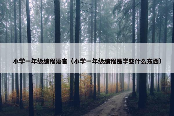 小学一年级编程语言（小学一年级编程是学些什么东西）