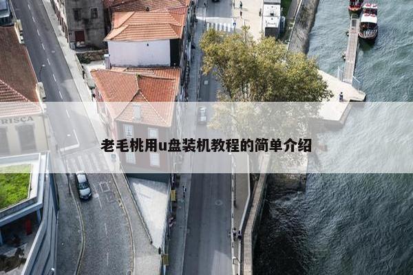 老毛桃用u盘装机教程的简单介绍
