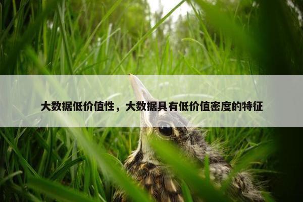 大数据低价值性，大数据具有低价值密度的特征