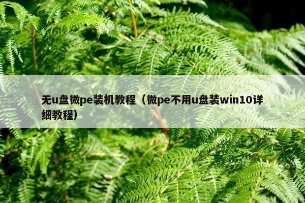 无u盘微pe装机教程（微pe不用u盘装win10详细教程）