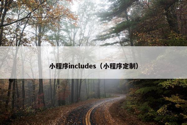 小程序includes（小程序定制）