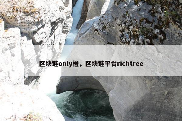 区块链only橙，区块链平台richtree
