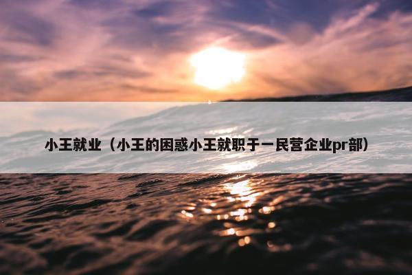 小王就业（小王的困惑小王就职于一民营企业pr部）