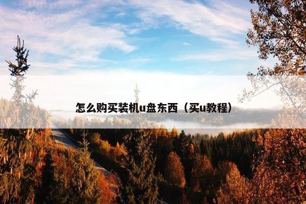 怎么购买装机u盘东西（买u教程）