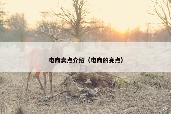 电商卖点介绍（电商的亮点）