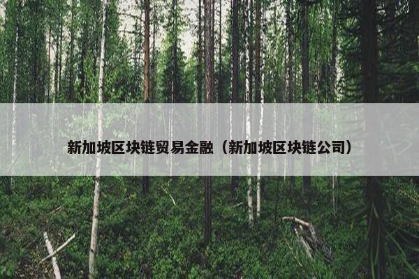 新加坡区块链贸易金融（新加坡区块链公司）
