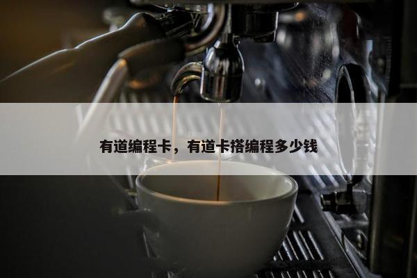 有道编程卡，有道卡搭编程多少钱