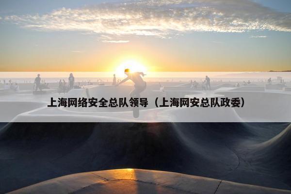 上海网络安全总队领导（上海网安总队政委）