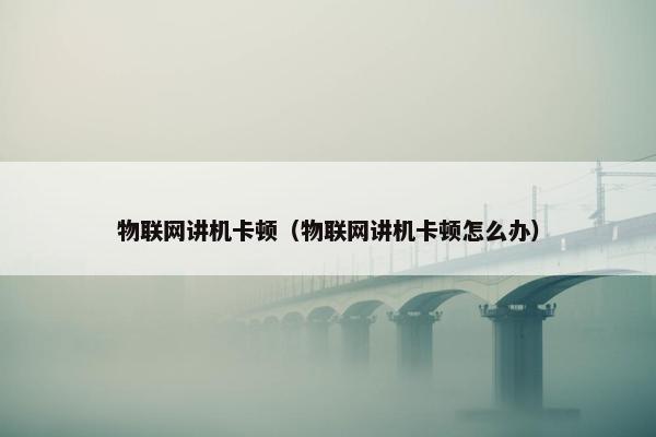 物联网讲机卡顿（物联网讲机卡顿怎么办）