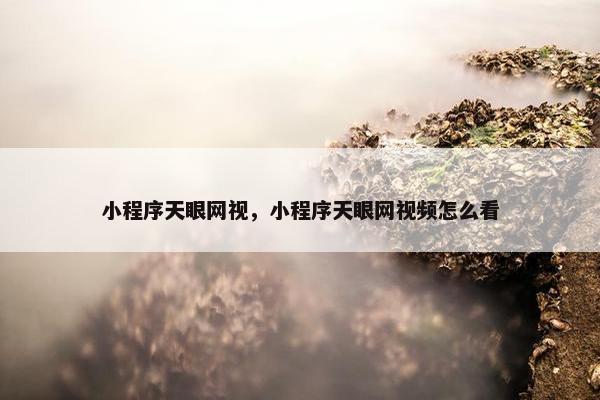 小程序天眼网视，小程序天眼网视频怎么看