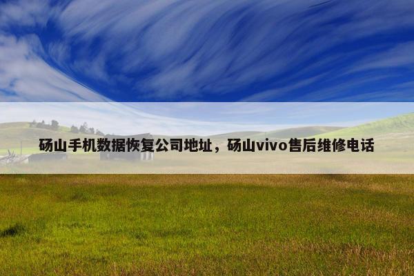 砀山手机数据恢复公司地址，砀山vivo售后维修电话