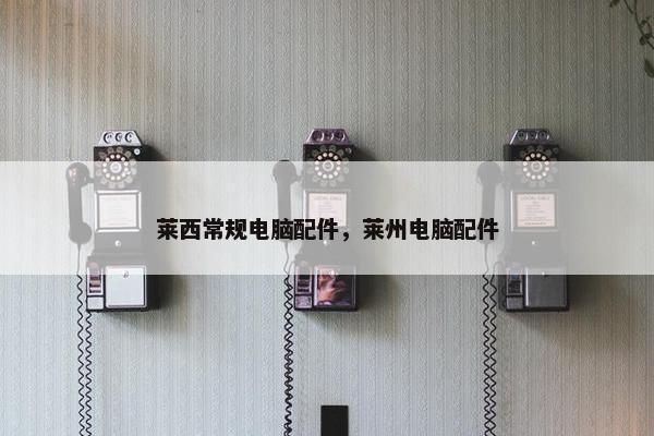 莱西常规电脑配件，莱州电脑配件