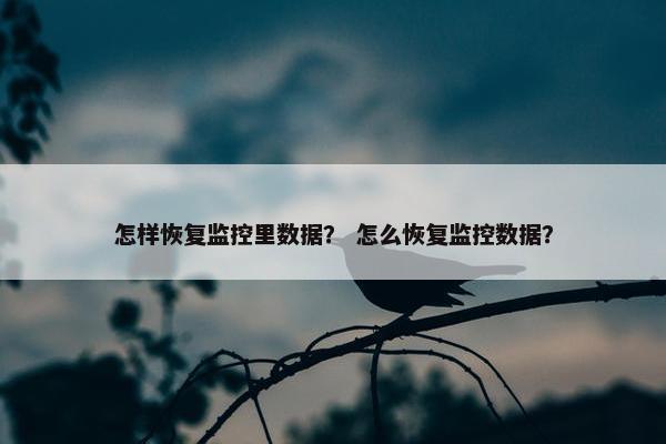 怎样恢复监控里数据？ 怎么恢复监控数据？