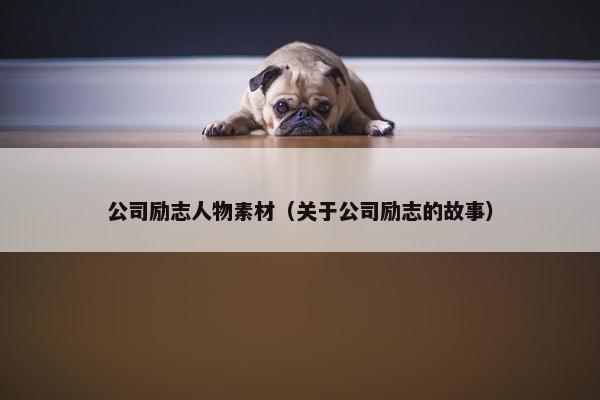 公司励志人物素材（关于公司励志的故事）