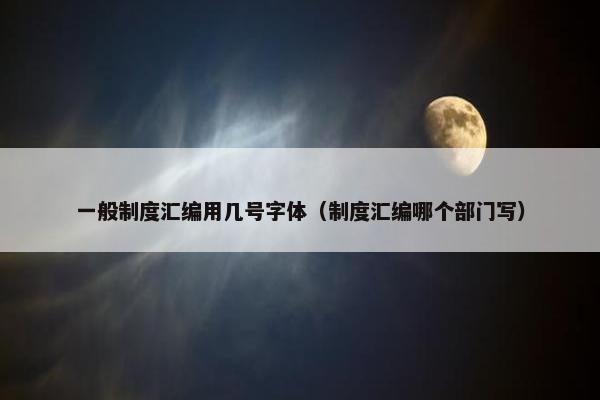 一般制度汇编用几号字体（制度汇编哪个部门写）