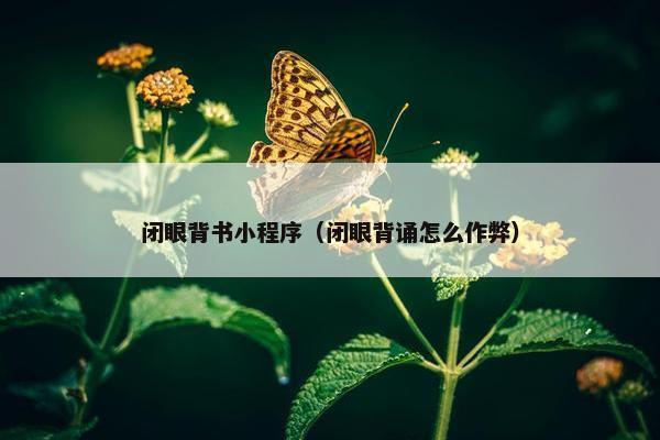 闭眼背书小程序（闭眼背诵怎么作弊）