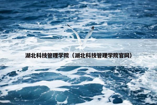 湖北科技管理学院（湖北科技管理学院官网）