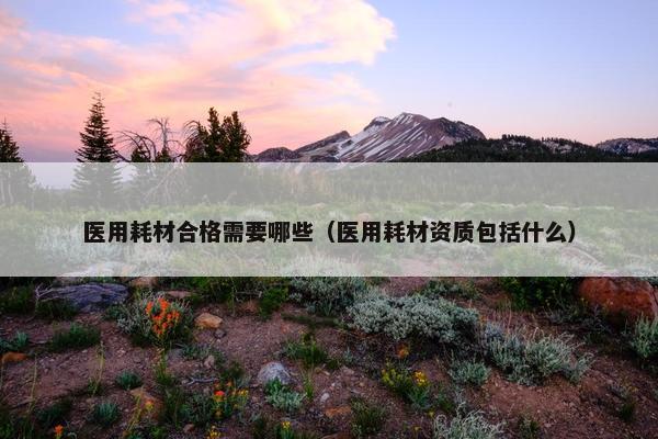 医用耗材合格需要哪些（医用耗材资质包括什么）