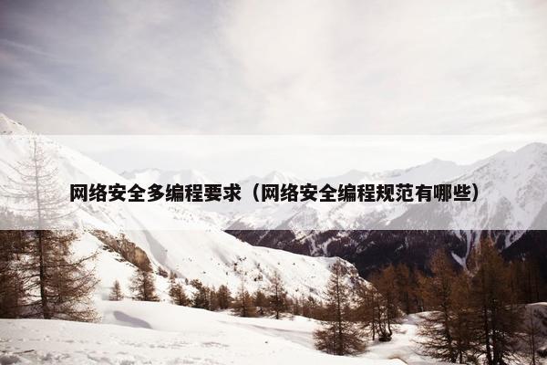 网络安全多编程要求（网络安全编程规范有哪些）