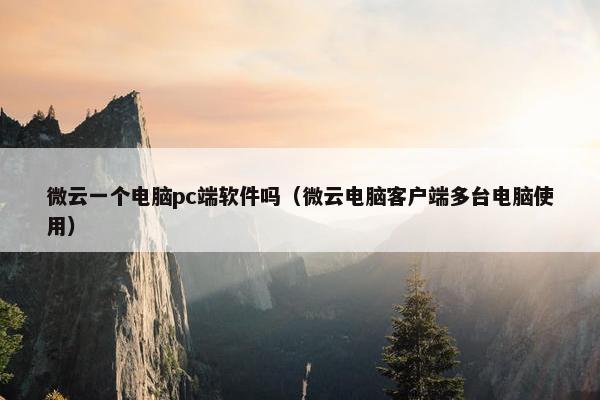 微云一个电脑pc端软件吗（微云电脑客户端多台电脑使用）