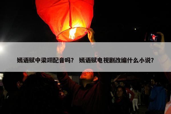嫣语赋中梁翊配音吗？ 嫣语赋电视剧改编什么小说？