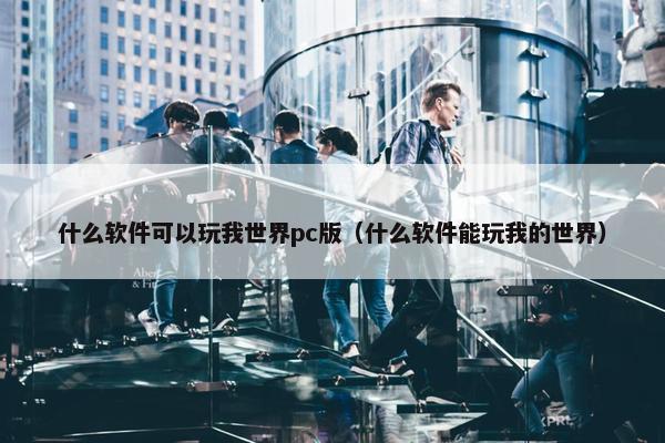 什么软件可以玩我世界pc版（什么软件能玩我的世界）