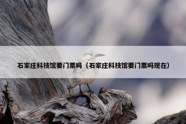 石家庄科技馆要门票吗（石家庄科技馆要门票吗现在）
