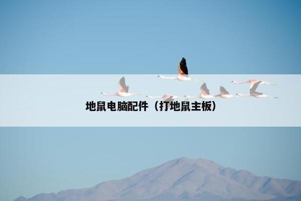 地鼠电脑配件（打地鼠主板）