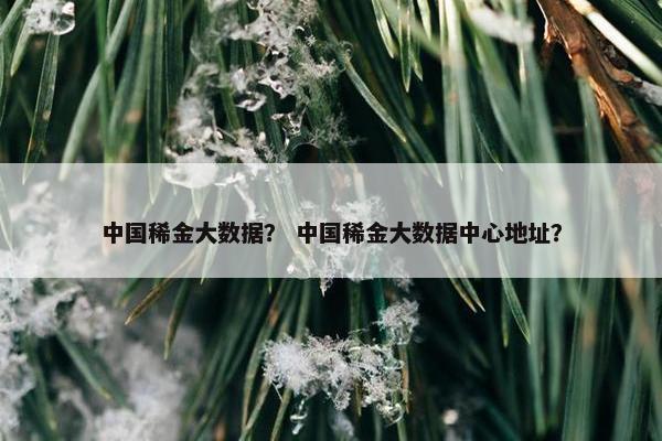 中国稀金大数据？ 中国稀金大数据中心地址？